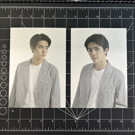 EXO Official Merchandise from 2015 EXO-Love Concert in DOME - Sehun