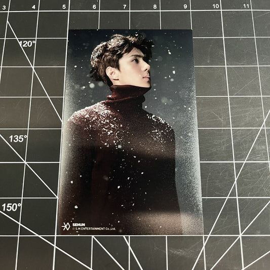 EXO For Life Official Photo (10 x 16cm) Merchandise - D.O.