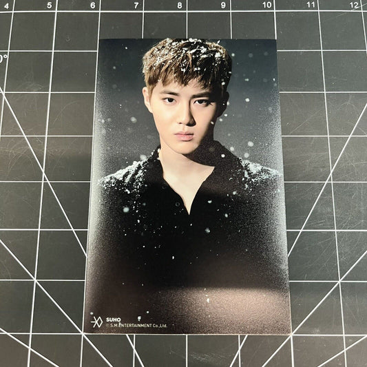 EXO For Life Official Photo (10 x 16cm) Merchandise - Suho