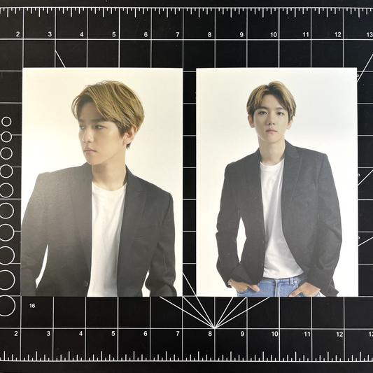 EXO Official Merchandise from 2015 EXO-Love Concert in DOME - Baekhyun