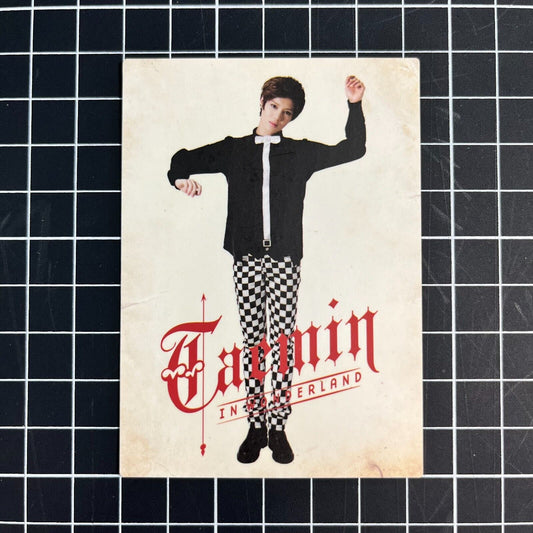 SHINee in Wonderland Official Photocard Star Collection Cards - Taemin