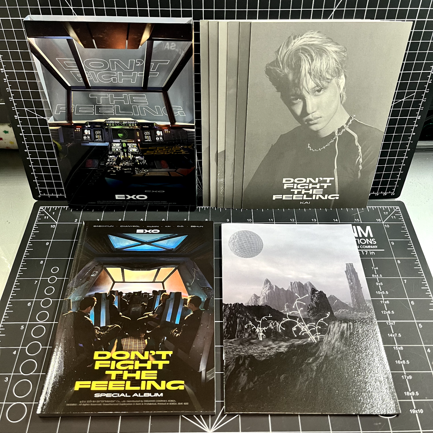 EXO Special Album Don't Fight The Feeling (Episode 01 Ver.) - No Photocard