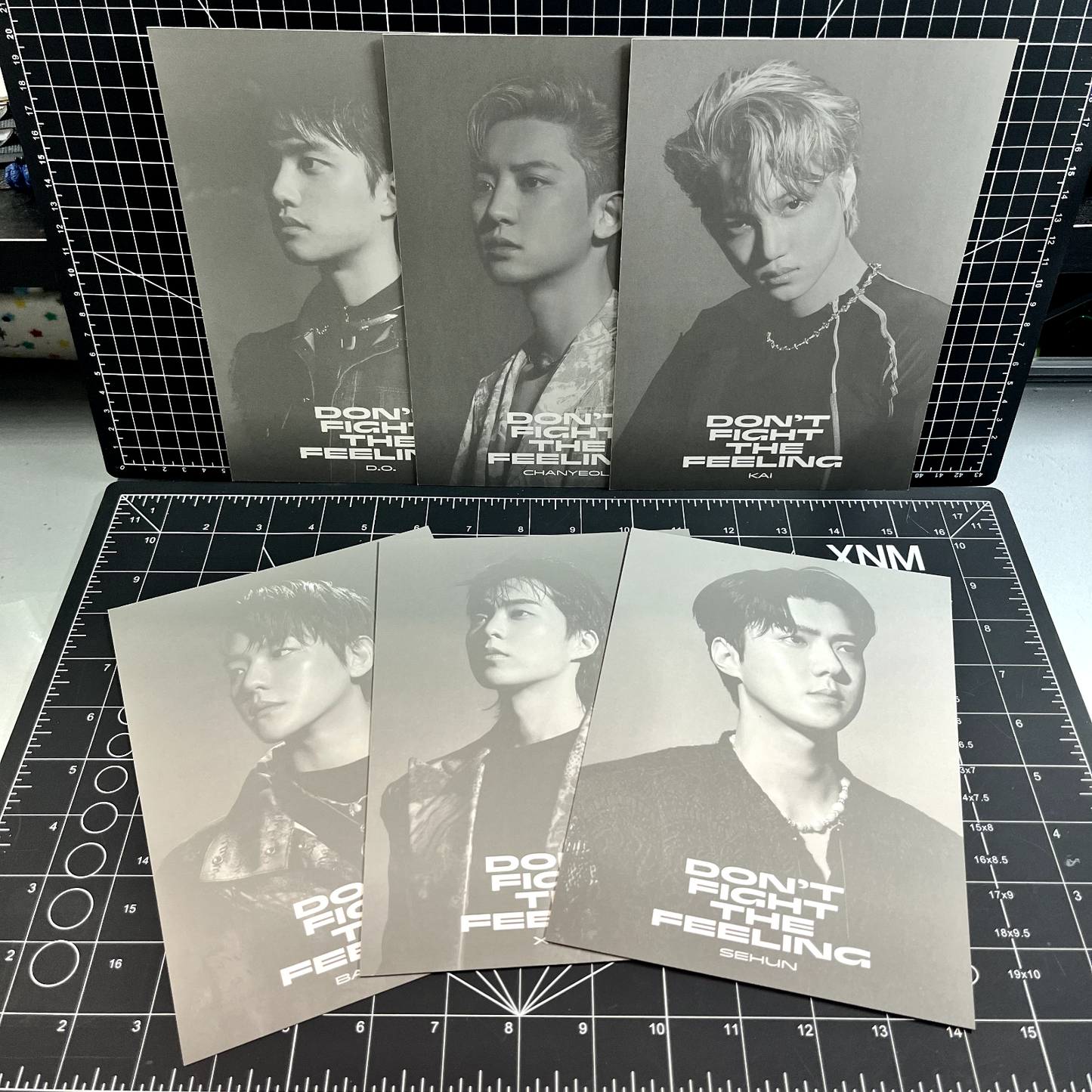 EXO Special Album Don't Fight The Feeling (Episode 01 Ver.) - No Photocard