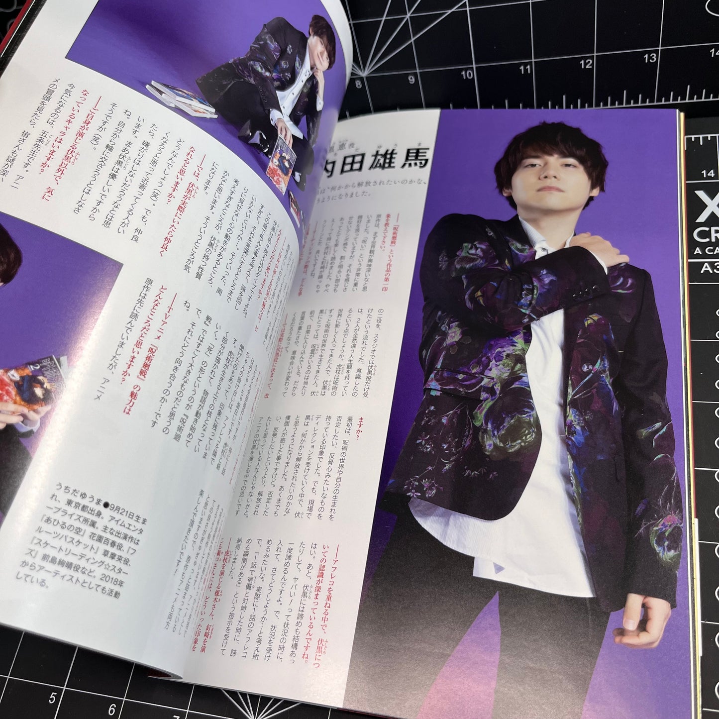 Jujutsu Kaisen TV Anime Official Start Guide Art Book from Japan