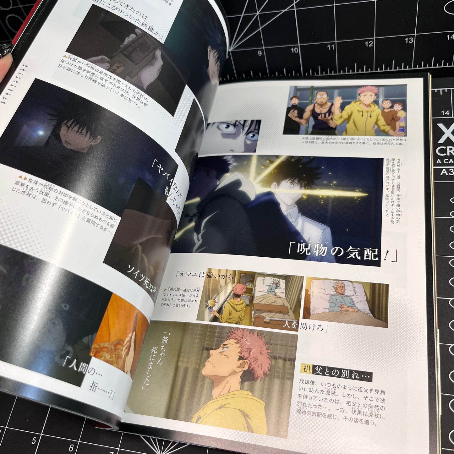 Jujutsu Kaisen TV Anime Official Start Guide Art Book from Japan