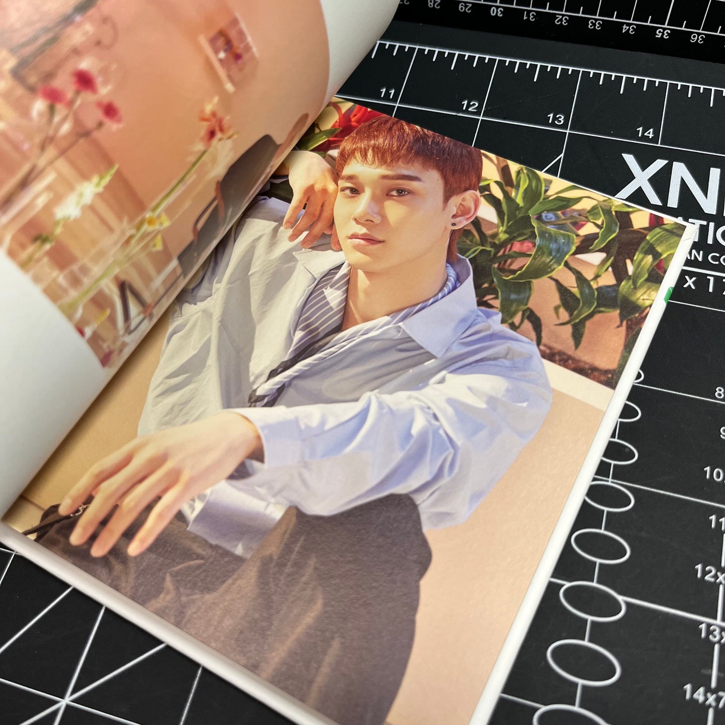 EXO-CBX The 2nd Mini Album Blooming Days (Blooming Ver.) - No Photocard