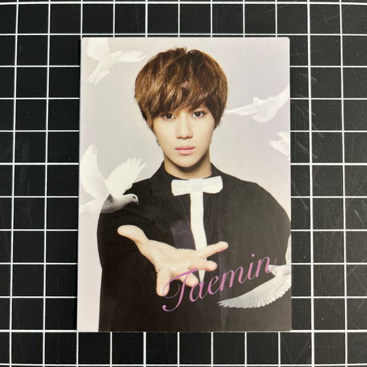 SHINee in Wonderland Official Photocard Star Collection Cards - Taemin