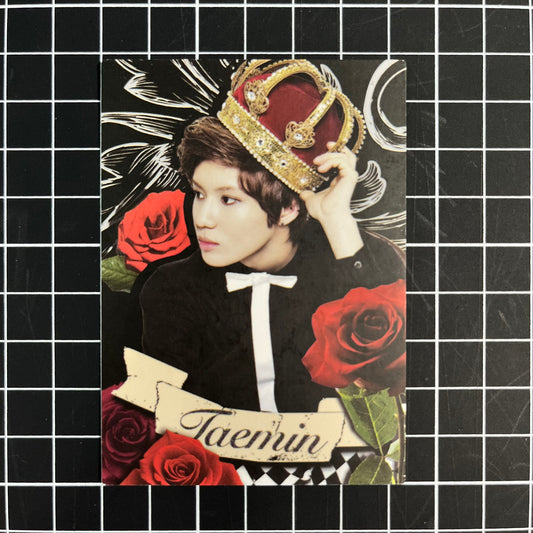 SHINee in Wonderland Official Photocard Star Collection Cards - Taemin