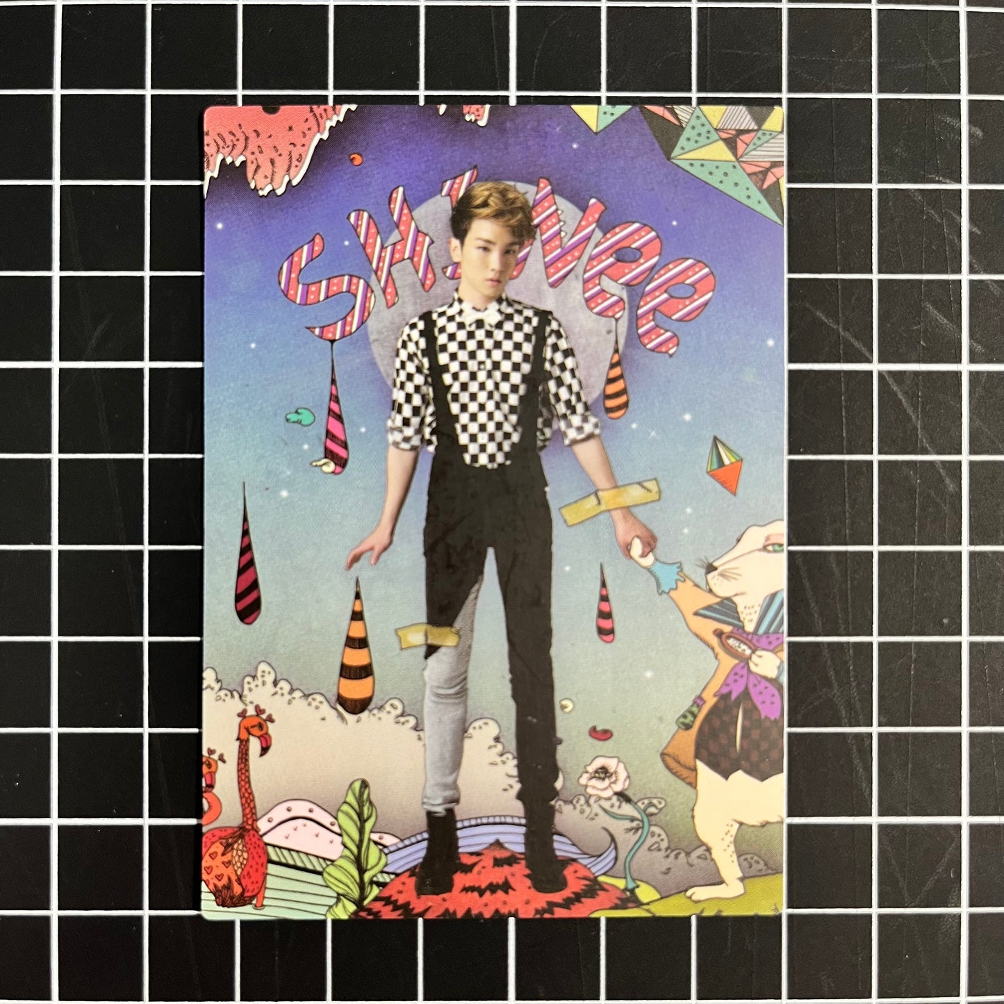 SHINee in Wonderland Official Photocard Star Collection Cards - Key