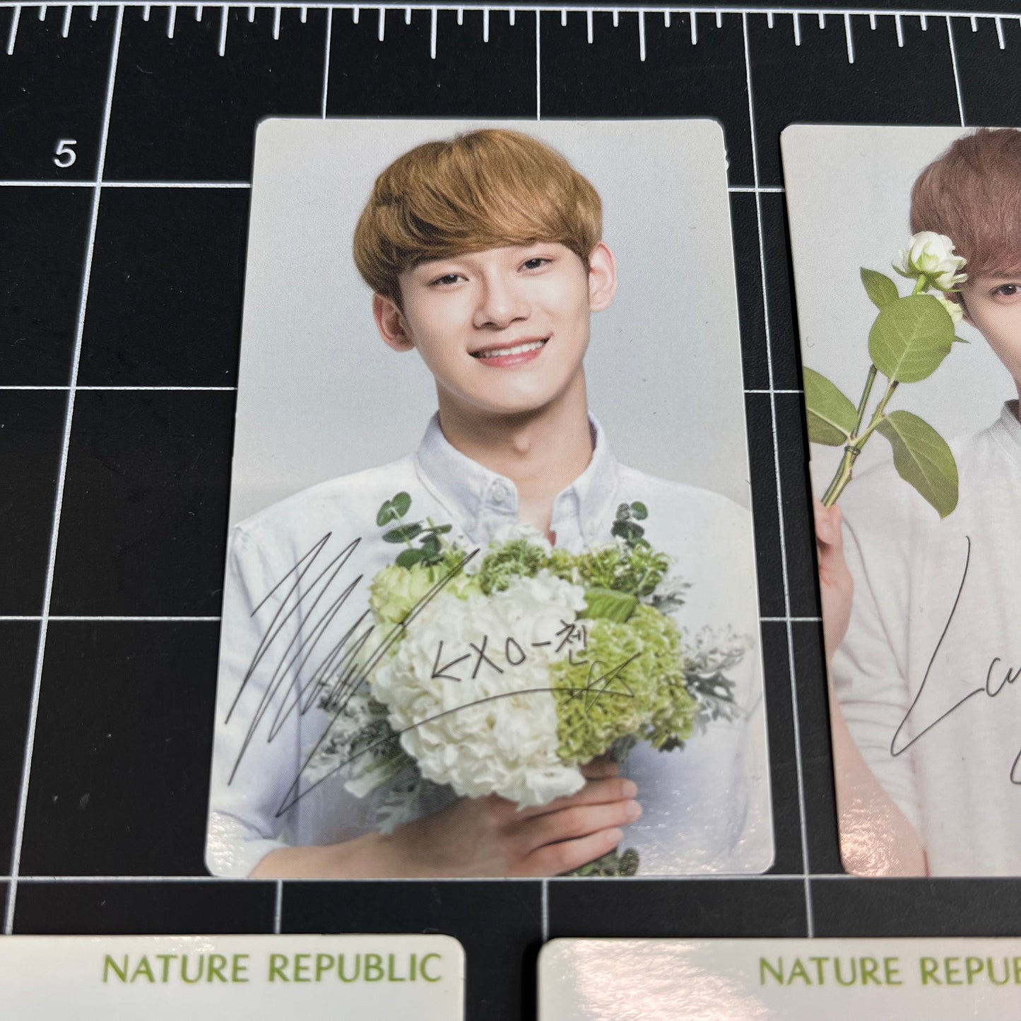 EXO Nature Republic Official Limited Photocard