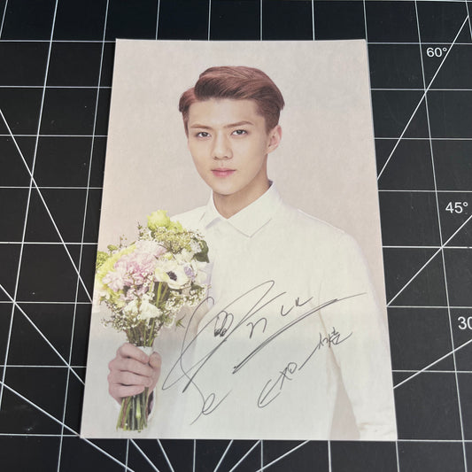 EXO Nature Republic Sehun Postcard