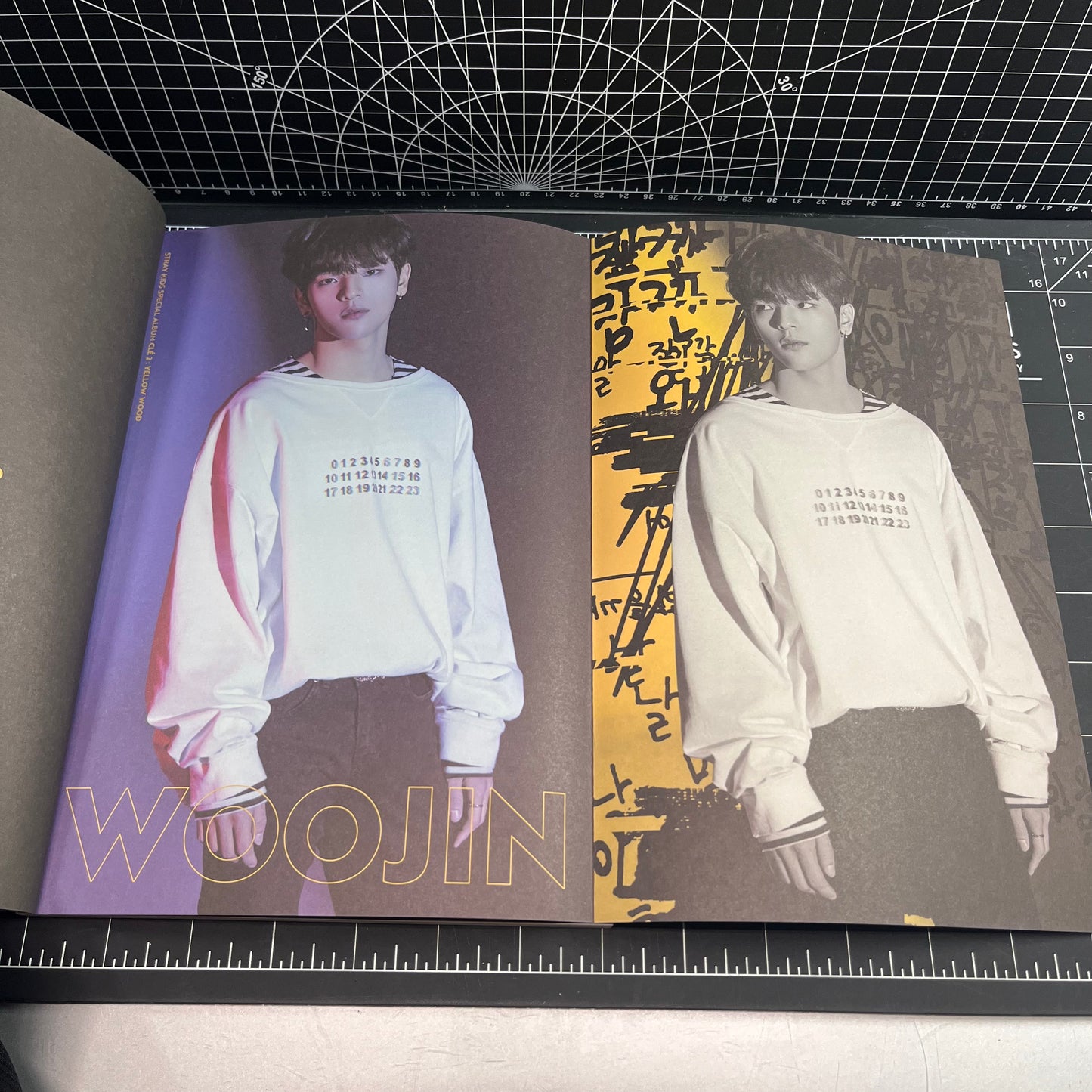 Stray Kids Special Album CLÉ : YELLOW WOOD (CLÉ 2) - Woojin Poster