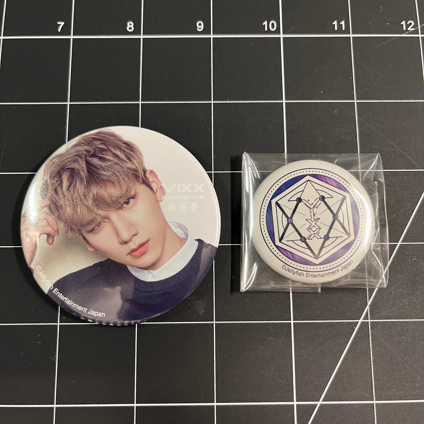 VIXX 2017 Japan Tour Official Merchandise - Badges